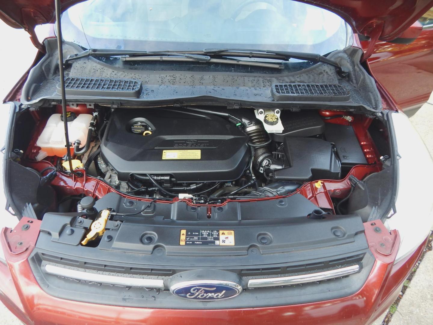 2014 Maroon /Two Tone Gray Ford Escape SE FWD (1FMCU0GX8EU) with an 1.6L L4 DOHC 16V engine, Automatic transmission, located at 3120 W Tennessee St, Tallahassee, FL, 32304-1002, (850) 575-6702, 30.458841, -84.349648 - Used Car Supermarket is proud to present you with this loaded immaculate 2014 Ford Escape SE with low miles. Used Car Supermarket prides itself in offering you the finest pre-owned vehicle in Tallahassee. Used Car Supermarket has been locally family owned and operated for over a half century. Our Es - Photo#10