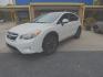2014 Pearl White /Gray Leather Subaru XV Crosstrek 2.0 Limited (JF2GPAGCXE8) with an 2.0L L4 DOHC 16V engine, CVT Automatic transmission, located at 3120 W Tennessee St, Tallahassee, FL, 32304-1002, (850) 575-6702, 30.458841, -84.349648 - Used Car Supermarket is proud to present you with this loaded immaculate 2014 Subaru Crosstrek Limited with leather and low miles. Used Car Supermarket prides itself in offering you the finest pre-owned vehicle in Tallahassee. Used Car Supermarket has been locally family owned and operated for over - Photo#0