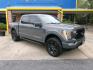 2021 Charcoal /Charcoal Leather Ford F-150 Lariat SuperCrew FX4 4WD (1FTFW1E85MF) with an 3.5L Ecoboost engine, Automatic transmission, located at 3120 W Tennessee St, Tallahassee, FL, 32304-1002, (850) 575-6702, 30.458841, -84.349648 - Used Car Supermarket is proud to present you with this loaded immaculate 2021 Ford F150 Lariat Crew Cab FX4 4x4 with Navigation and leather. Used Car Supermarket prides itself in offering you the finest pre-owned vehicle in Tallahassee. Used Car Supermarket has been locally family owned and operated- Photo#0